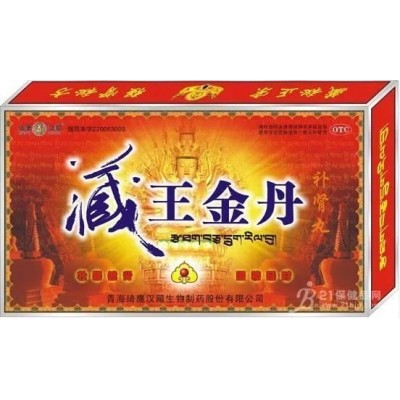 藏王金丹图2