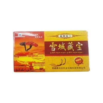 雪域藏宝价格是多少钱图3