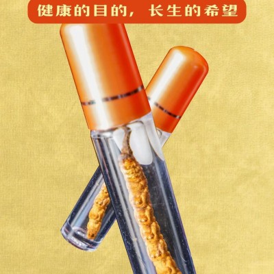 百盛堂礼盒装冬虫夏草单支单管装5支/盒图3