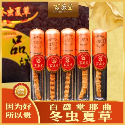 百盛堂礼盒装冬虫夏草单支单管装5支/盒图2