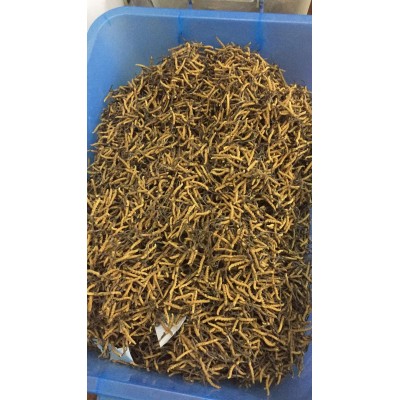百盛堂100%冬虫夏草微粉，规格1x0.3gx120x6管=36g图5