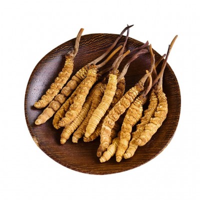 品质冬虫夏草现货高品质地直草直供一件滋补批发冻干干货代发产地图5