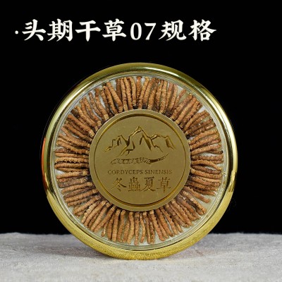 礼盒装虫草西藏藏头家用虫草头期草无晒干高批发100礼盒断海拔盒图5