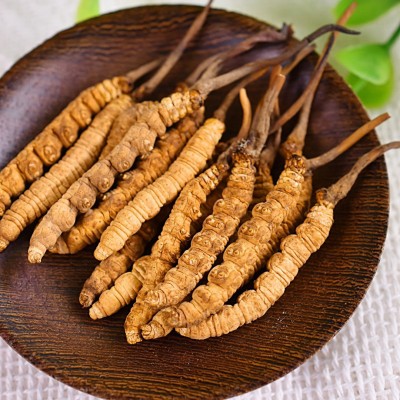 虫草草无瘪草无招10g批发断冻干条条饱满虫草一盒干代理冬虫夏草图3