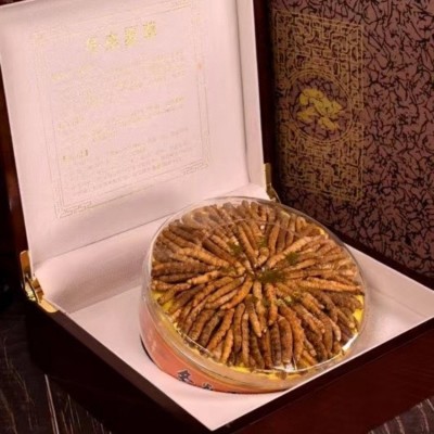 冬虫夏草冻干全肉洁净饱满断草滋补品礼盒装冬虫夏草礼盒批发代发图3