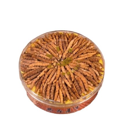 冬虫夏草冻干全肉洁净饱满断草滋补品礼盒装冬虫夏草礼盒批发代发图5