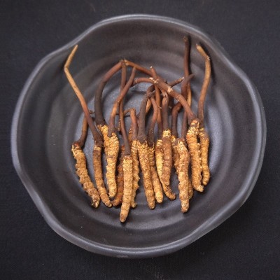 4月份产新新鲜虫草0.2~0.3克每根散装产地直供冬虫夏草沁信源图5
