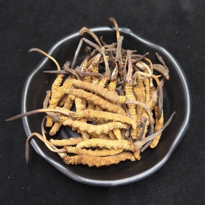 西藏那曲虫草1.8条/克散装产地直供冬虫夏草干虫草沁信源中药材图5