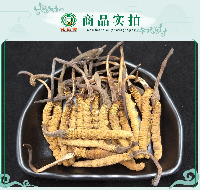 ganchongcao1800tiao07