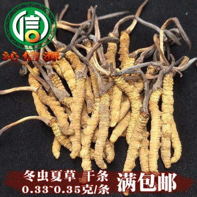 西藏那曲虫草3条/克散装产地直供冬虫夏草干虫草沁信源中药材批发图1