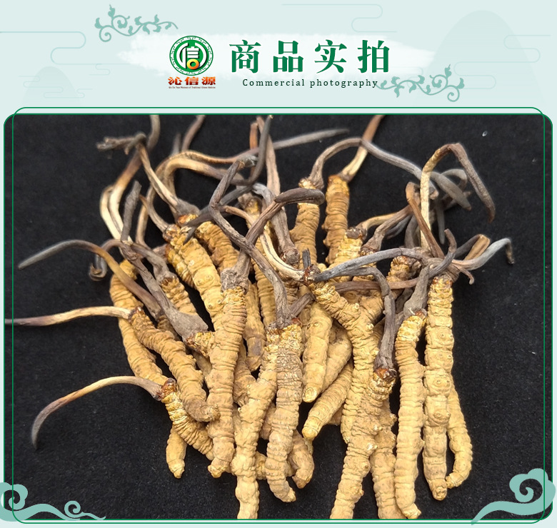 ganchongcao3000tiao07