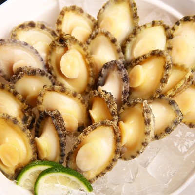批发新鲜鲍鱼肉带壳冷冻大鲍鱼海鲜水产商用小鲍鱼加热即食捞汁饭图2