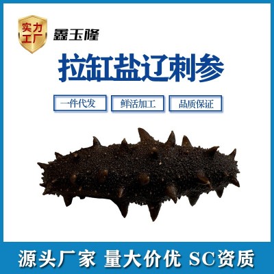 半干盐渍辽刺参批发 大火拉缸盐海参500g 15-50头礼品滋补品团购图5