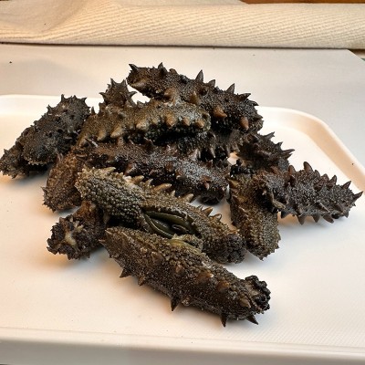 纯淡干海参厂家批发 非即食野生辽刺参 高倍泡发 一手货源 一件代发图5