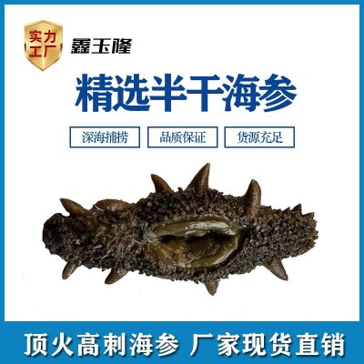 鑫玉隆工厂加工 大火盐渍拉缸盐海参礼品滋补品 辽刺参半干50g图2