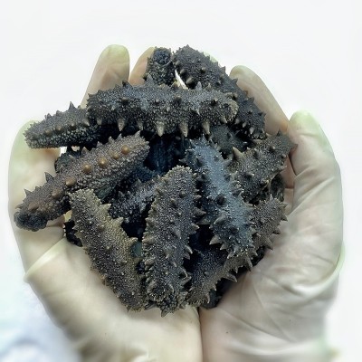 鑫玉隆工厂加工 大火盐渍拉缸盐海参礼品滋补品 辽刺参半干50g图3