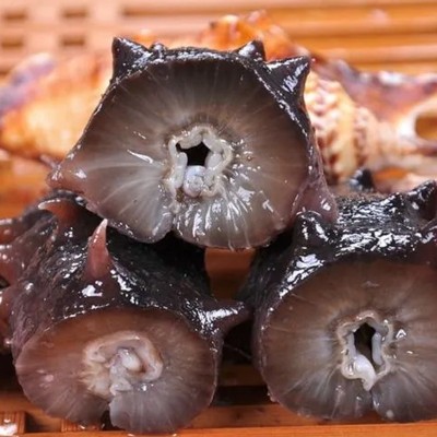 鑫玉隆 即食鲜海参产品批发 4-20头500g 开袋即食 厂家一手货源图4