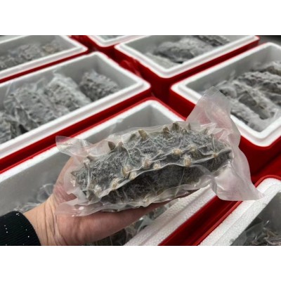 参临天下 辽参刺参即食鲜海参非淡干 代理鲜食 精品口感 拿货加工厂图6