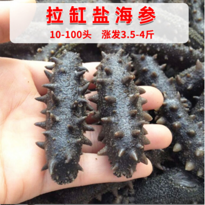 参临天下 半干野海参采购优质供应链 高泡发 非即食辽刺参图3