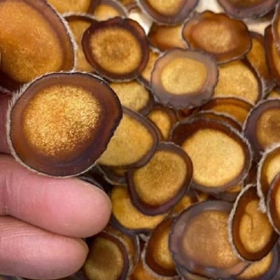 东北吉林鹿乡鹿茸片半腊片干度好诚招代理全国包邮鹿茸半腊片鹿茸图4
