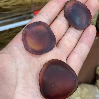 东北鹿茸长白山鹿茸片鹿茸腊片血茸诚招代理全国包邮东北特产鹿茸图2