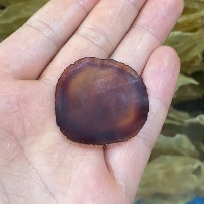 东北鹿茸长白山鹿茸片鹿茸腊片血茸诚招代理全国包邮东北特产鹿茸图3