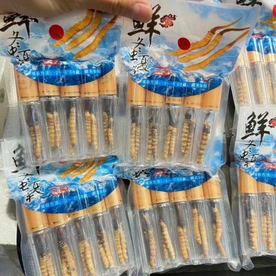 2023新鲜冬虫夏草产地直发 高海拔鲜草 冬虫夏草礼盒装鲜虫草批发图2