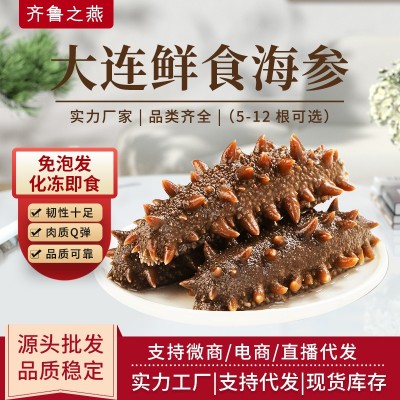源头直供冷冻 即食海参批发鲜食开袋即食辽刺参海鲜礼盒装图5