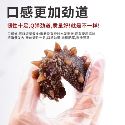 源头直供冷冻 即食海参批发鲜食开袋即食辽刺参海鲜礼盒装图4