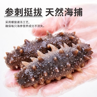 即食海参批发鲜食辽刺参非干货厂家直供批发代发口感劲道图3