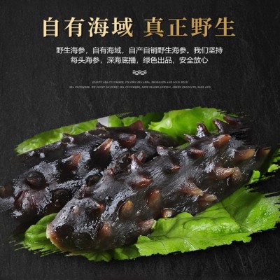 参福莱纯淡干海参 真野生无添加 一手货源 厂家直供 一件代发 500g起批图2