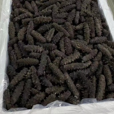 参福莱纯淡干海参 真野生无添加 一手货源 厂家直供 一件代发 500g起批图3