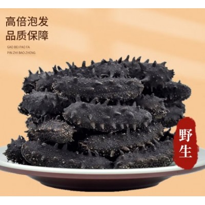 即食海参批发野生个大鲜活加工 产地直发 一件代发 一手货源图2