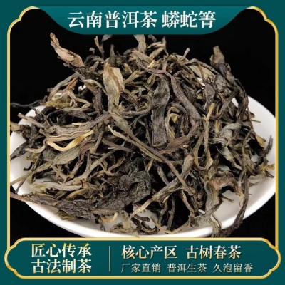 易武核心产区正宗普洱茶生茶 蟒蛇箐 古树春茶 匠心炒制 批发零售图2