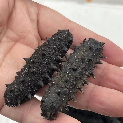 参海岸深海底播淡干海参 非即食 规格50g100g500g 顶火拉缸盐图4