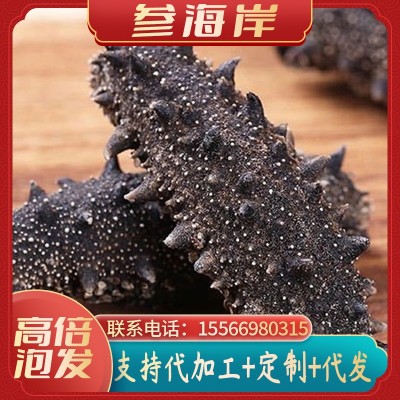 参海岸深海底播淡干海参 非即食 规格50g100g500g 顶火拉缸盐图5