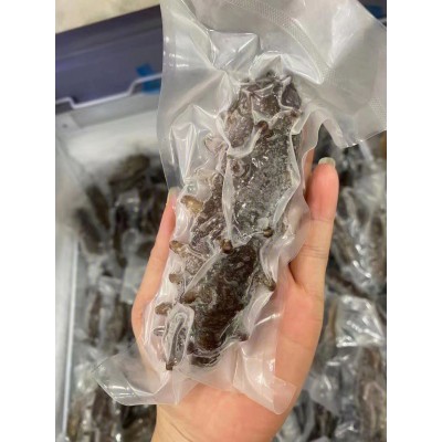 鲜食即食海参批发 深海底播参 厂家一手货源 一件代发 肉质Q弹图4