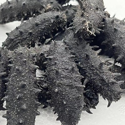 参海岸半干海参 干货500g辽刺参海产品包邮 厂家批发图2