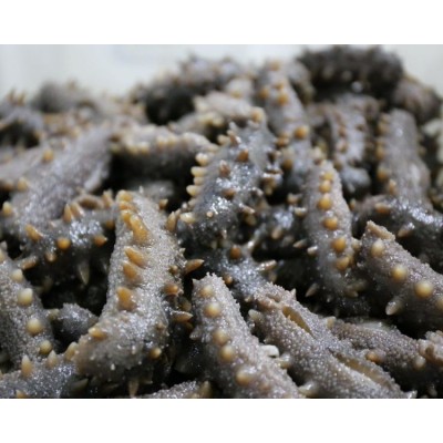 参泰 即食海参 口感Q弹 质量优质 可批发 饭店采购图5