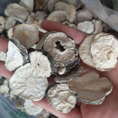 【振兴中药】中药材批发供应【玛咖片】 云南选片 质优价廉图4