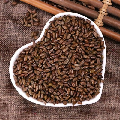 决明子散装批量批发炒熟决明子茶决明子玩具沙儿童沙滩枕头中药材图2
