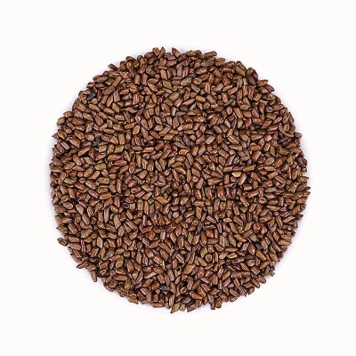 决明子散装批量批发炒熟决明子茶决明子玩具沙儿童沙滩枕头中药材图5