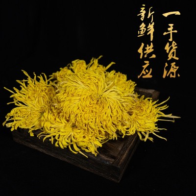 金丝皇菊20克罐装大朵菊花茶一朵一杯黄山产地直发现货可批发代发图3