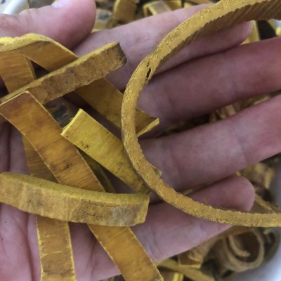 黄柏中药材批发带皮川黄柏 去皮黄柏丝 实物拍摄 量大价优图4