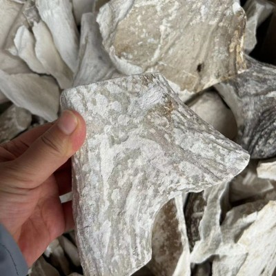 鹿角霜中药材批发鹿角尖霜 鹿角霜粉实物拍摄 量大价优 可代磨粉图3
