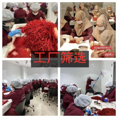 伊朗藏红花农产品西红花批发番红花伊朗正宗特级藏红花国产藏图2