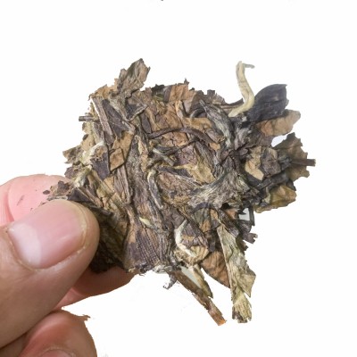 福鼎的白茶2010年磻溪老白茶寿眉饼枣香贡眉饼茶350克厂家直供图5
