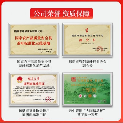 福建 福鼎白茶2019年小方片饼干一片一泡5g装方便携带 老白茶批发图4