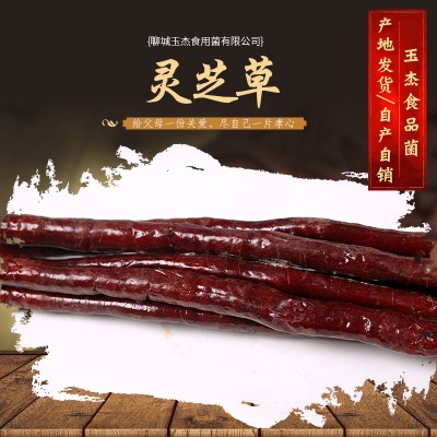 现货批发 灵芝草 泡酒料新货 草灵芝 原产地 鹿角灵图4