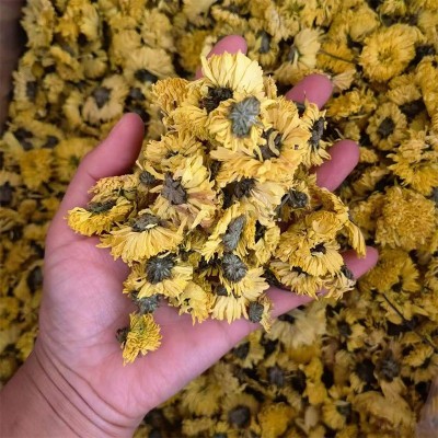婺源皇菊批发舜王中药材大货现货源头厂家散装婺源皇菊大量代发图2